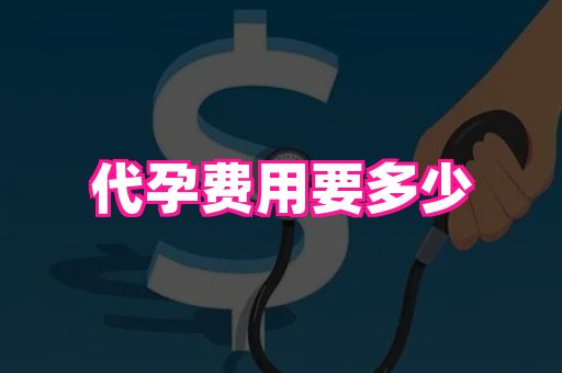 国际助孕网 1