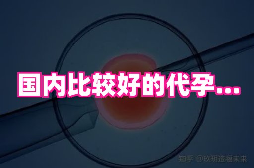 国际助孕网 4